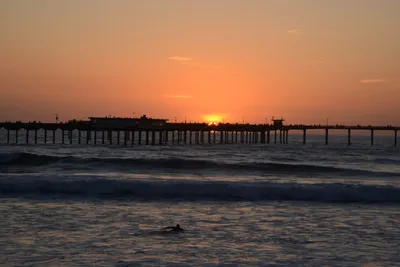 DSC_7110 (Large).JPG